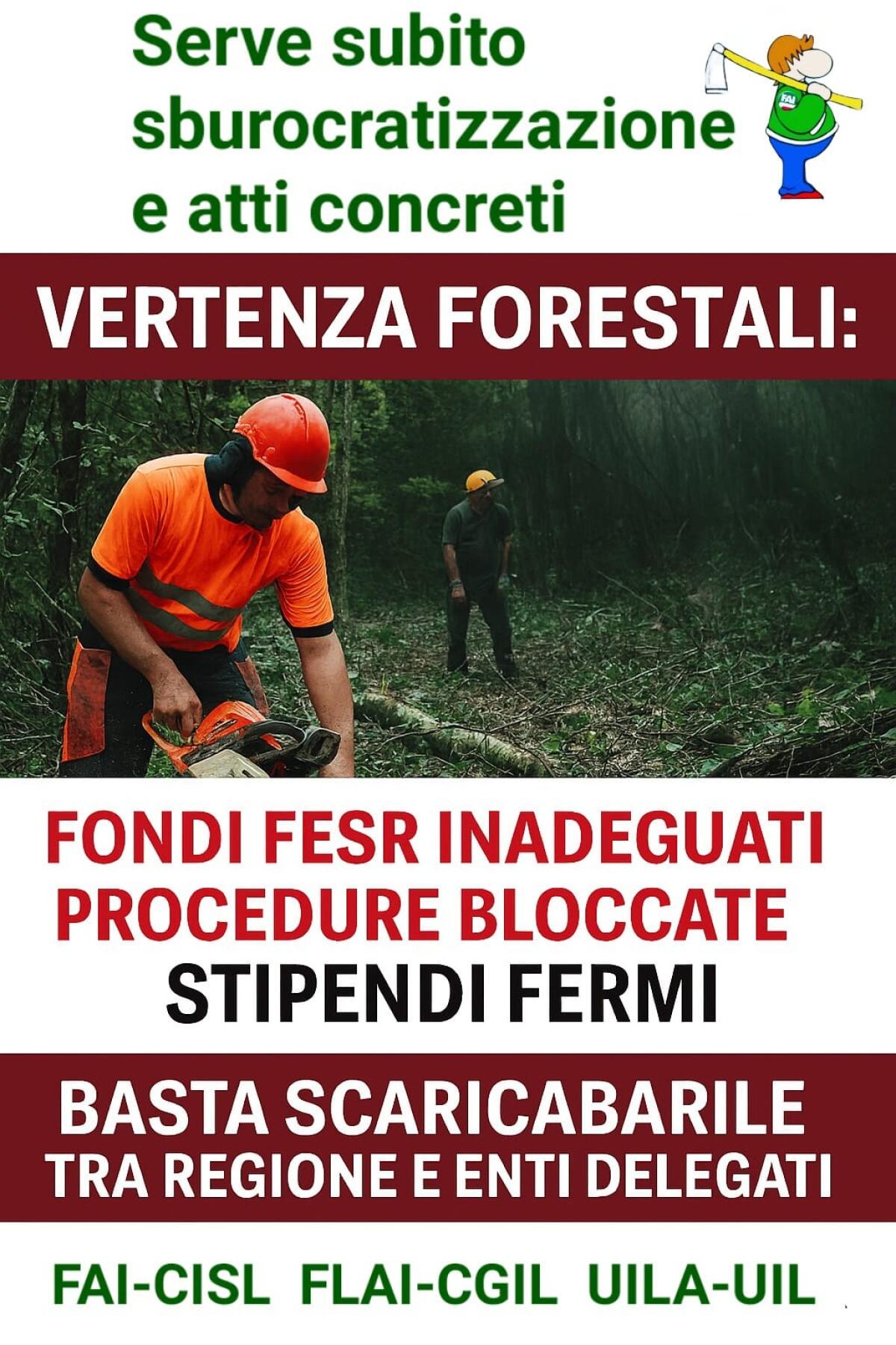 Vertenza forestali: fondi FESR inadeguati, procedure bloccate, stipendi fermi. - 