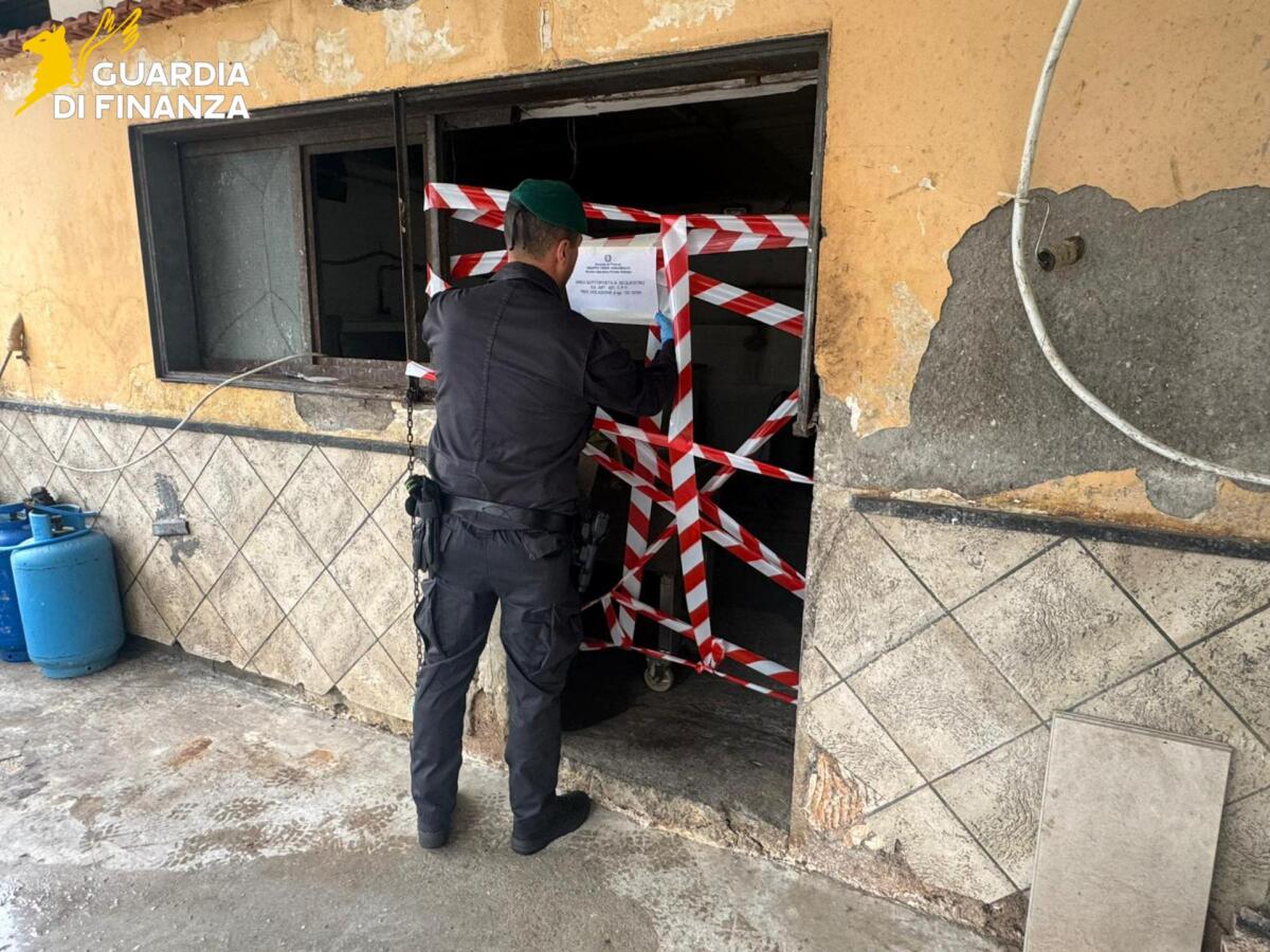 Sequestrato dalla Guardia di Finanza laboratorio clandestino per la macellazione della carne - 