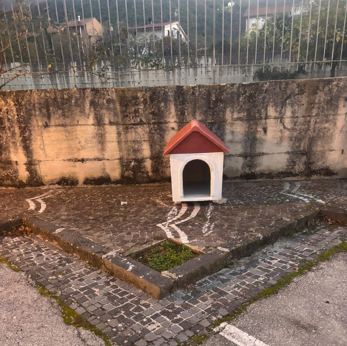 Rotondi. Campagna di sensibilizzazione: “Un piccolo gesto può cambiare una vita.” - 