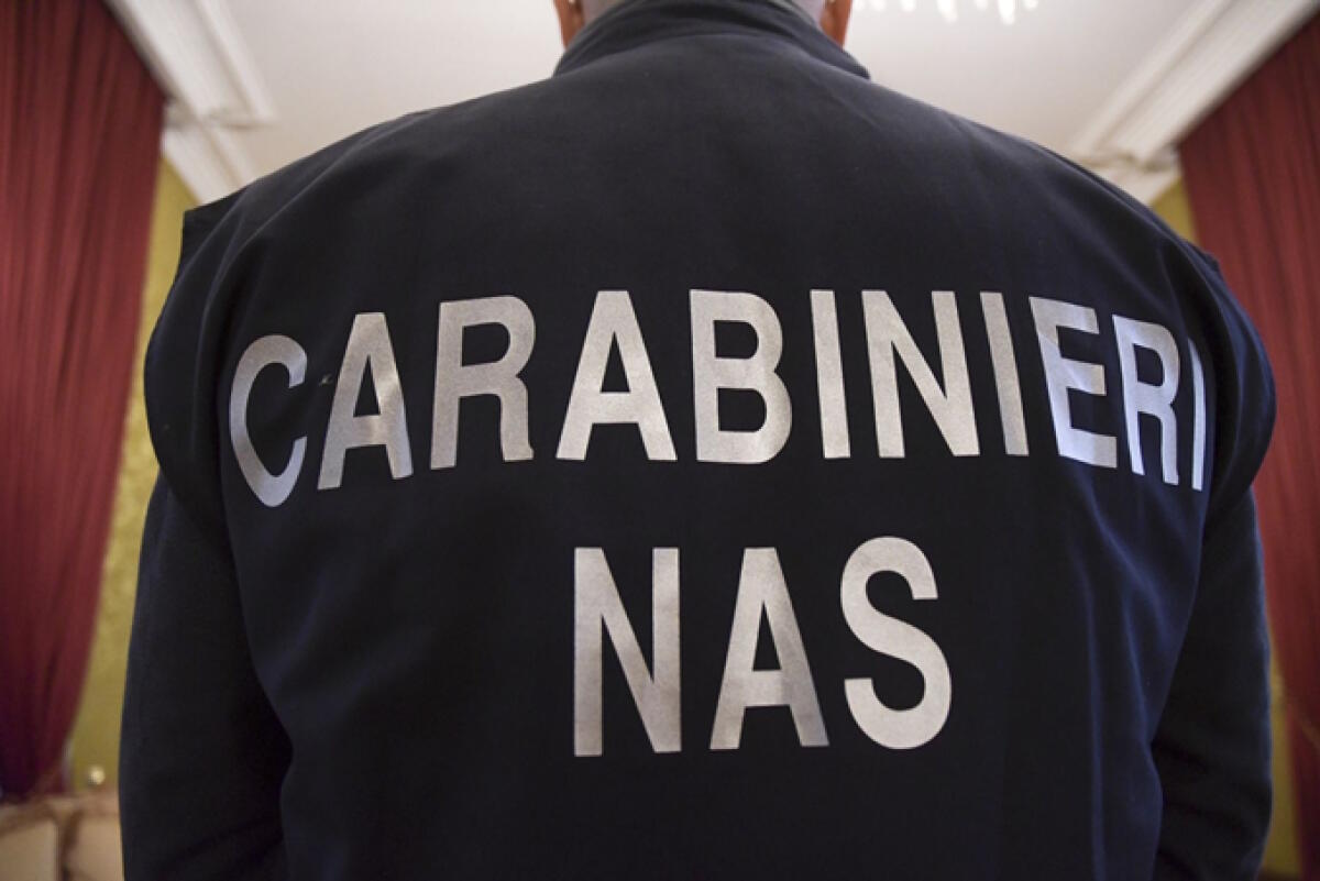 Circoncide 40 bimbi in un laboratorio abusivo, arrestato un medico - 