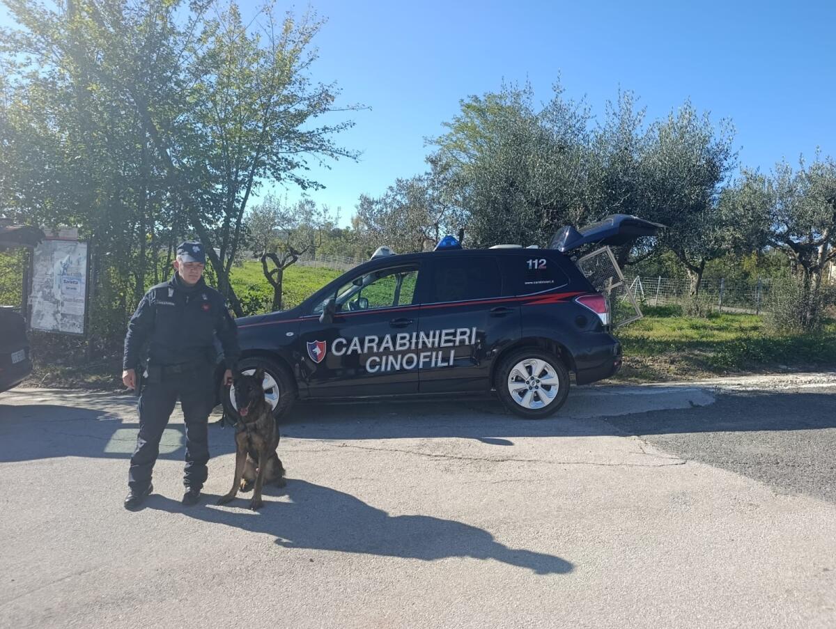 21enne pusher arrestato a Pietradefusi - 