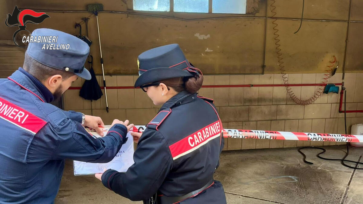 Montella. Scarichi abusivi e rifiuti pericolosi, Carabinieri sequestrano un autolavaggio. - 