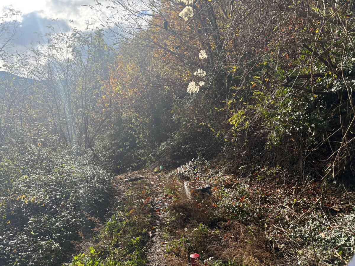 Frana Arpaise, Errico (FI): “Subito la messa in sicurezza della SP1 Ciardelli. Situazione non più tollerabile” - 