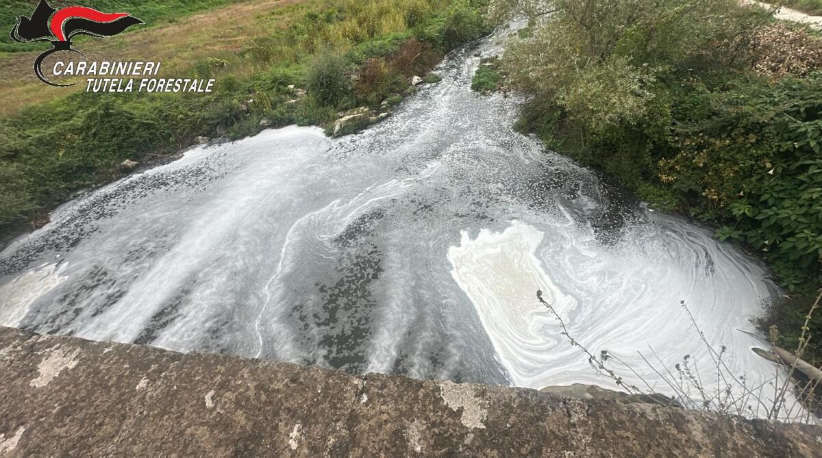Sversava siero del latte nel fiume Isclero, chiuso impianto caseario a Moiano - 