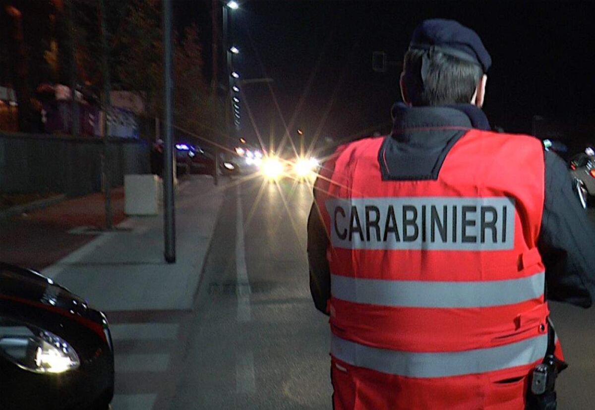 Controllo del territorio in Irpinia arriva Compagnia di Intervento Operativo (C.I.O.) del 14° Battaglione Carabinieri “Calabria”. - 