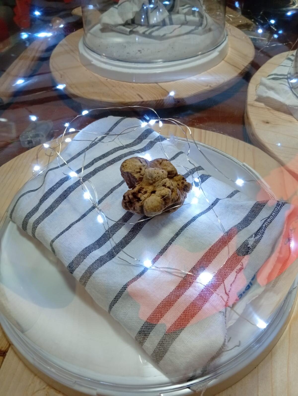 Cervinara. Lavorare per il proprio paese é il modo migliore per rispettarlo ed amarlo - 