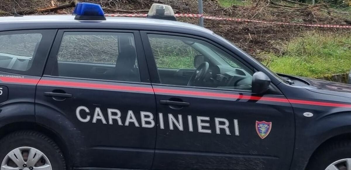 Alta Irpinia: i Carabinieri sequestrano officina meccanica e denunciano due imprenditori. - 