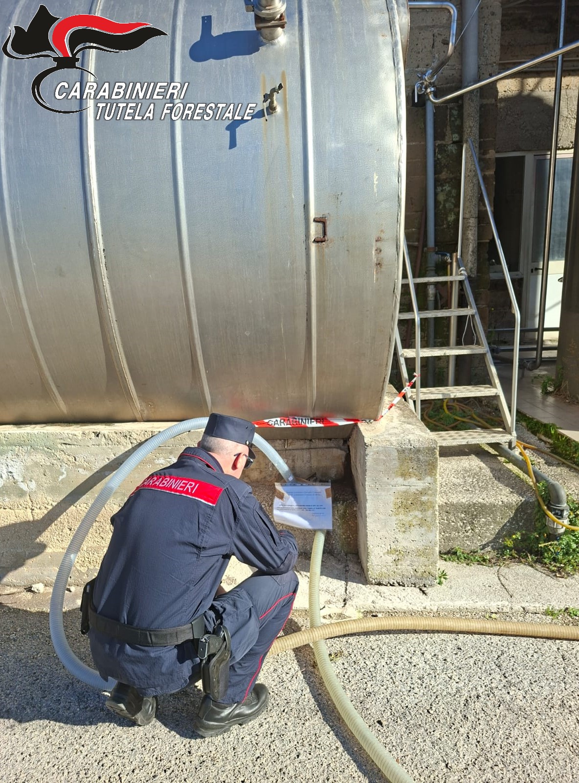 Sversava siero del latte nel fiume Isclero, chiuso impianto caseario a Moiano