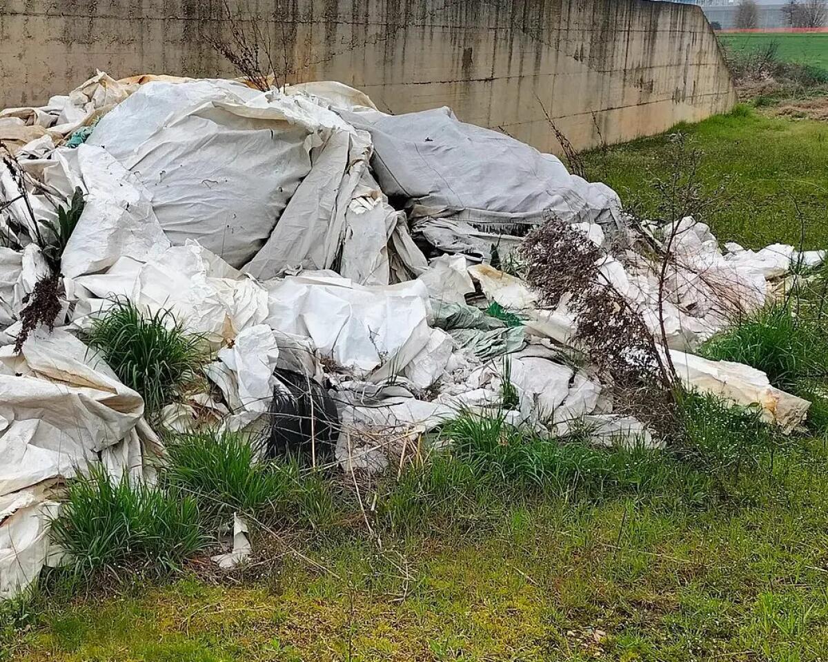 Cia Campania: gestione dei rifiuti agricoli, avanti sulla semplificazione e meno vincoli per le imprese. - 
