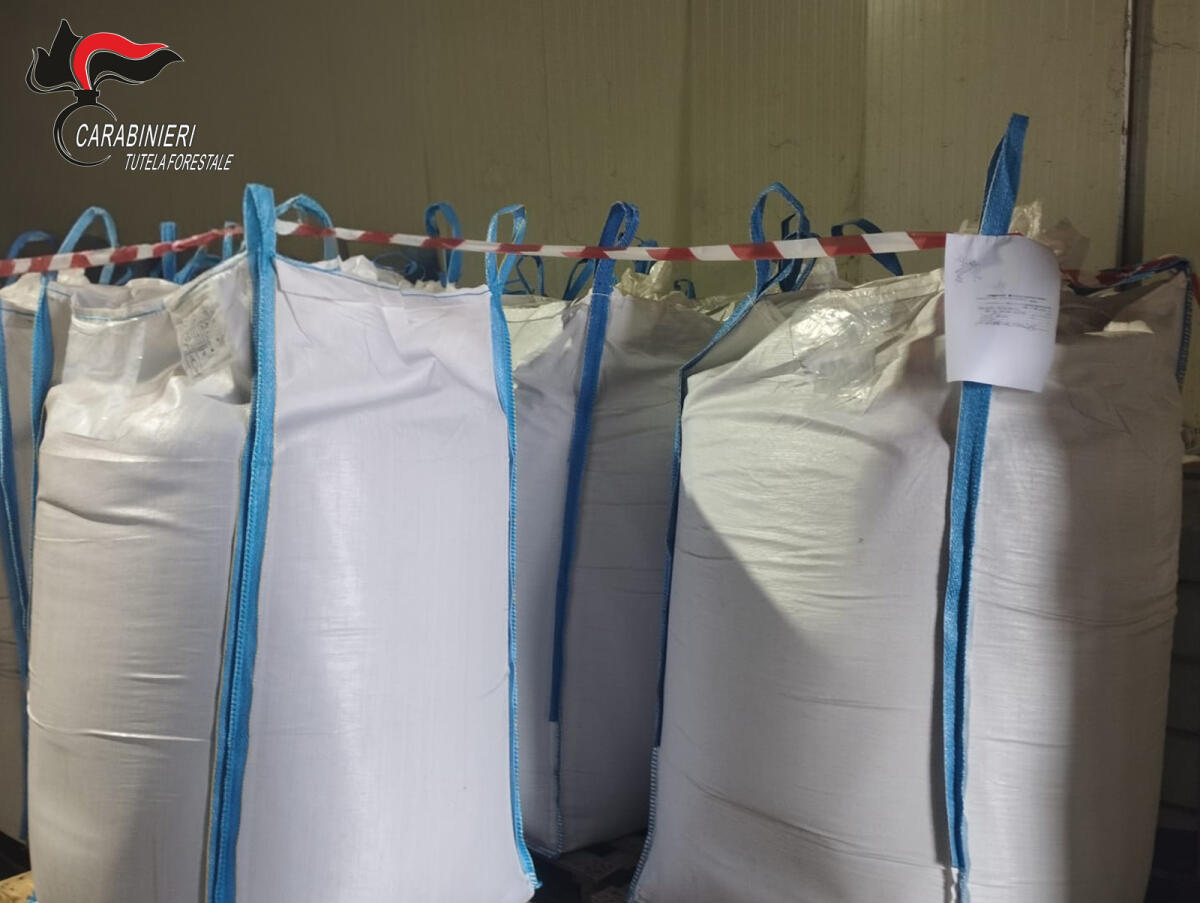 In Alta Irpinia sequestrate 400 tonnellate di farine di origine animale - 