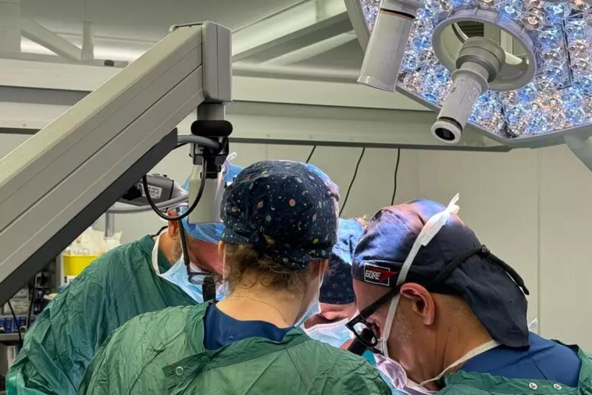 A Padova trapianto di fegato con tecnica innovativa completamente robotica. - 