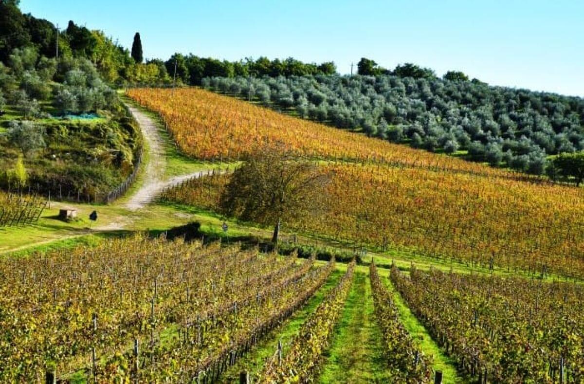 Un Rinnovato Impegno della Regione a favore dell'Agricoltura delle Aree Montane. - 