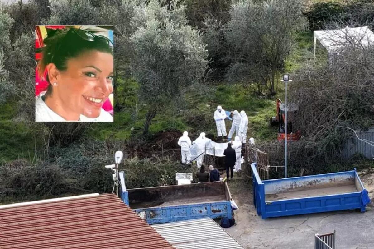 Figlio di Federica affidato ai nonni materni - 