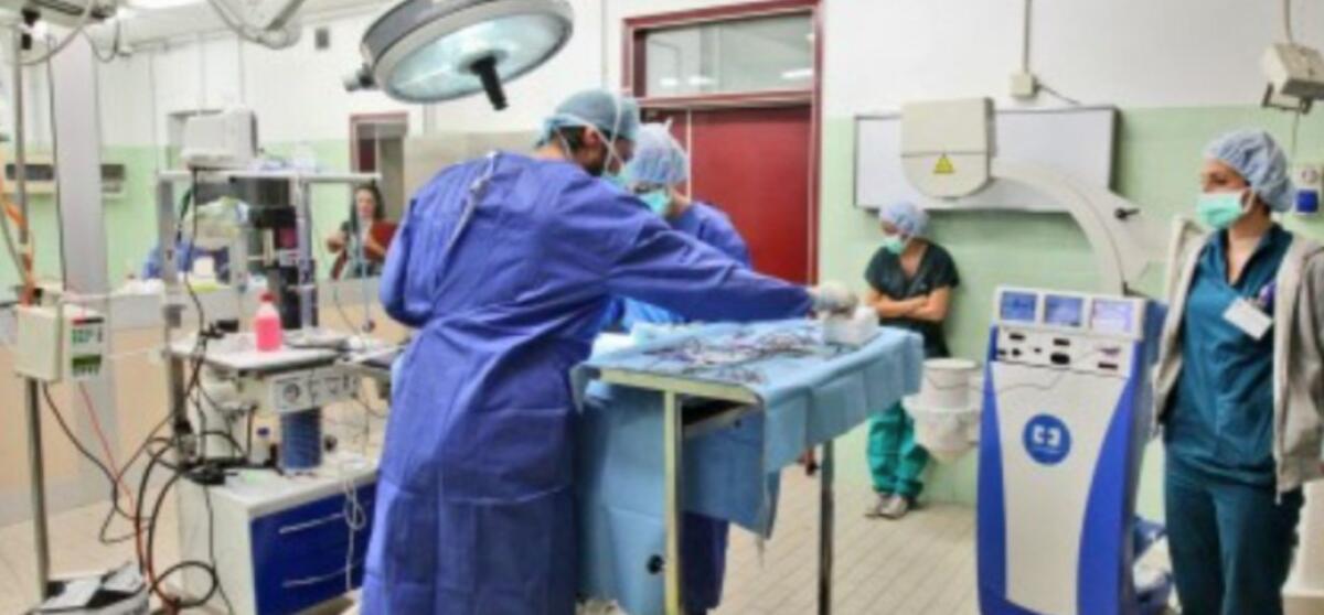 Ceppaloni, firmato il contratto preliminare per il primo ospedale veterinario h24 della provincia di Benevento - 