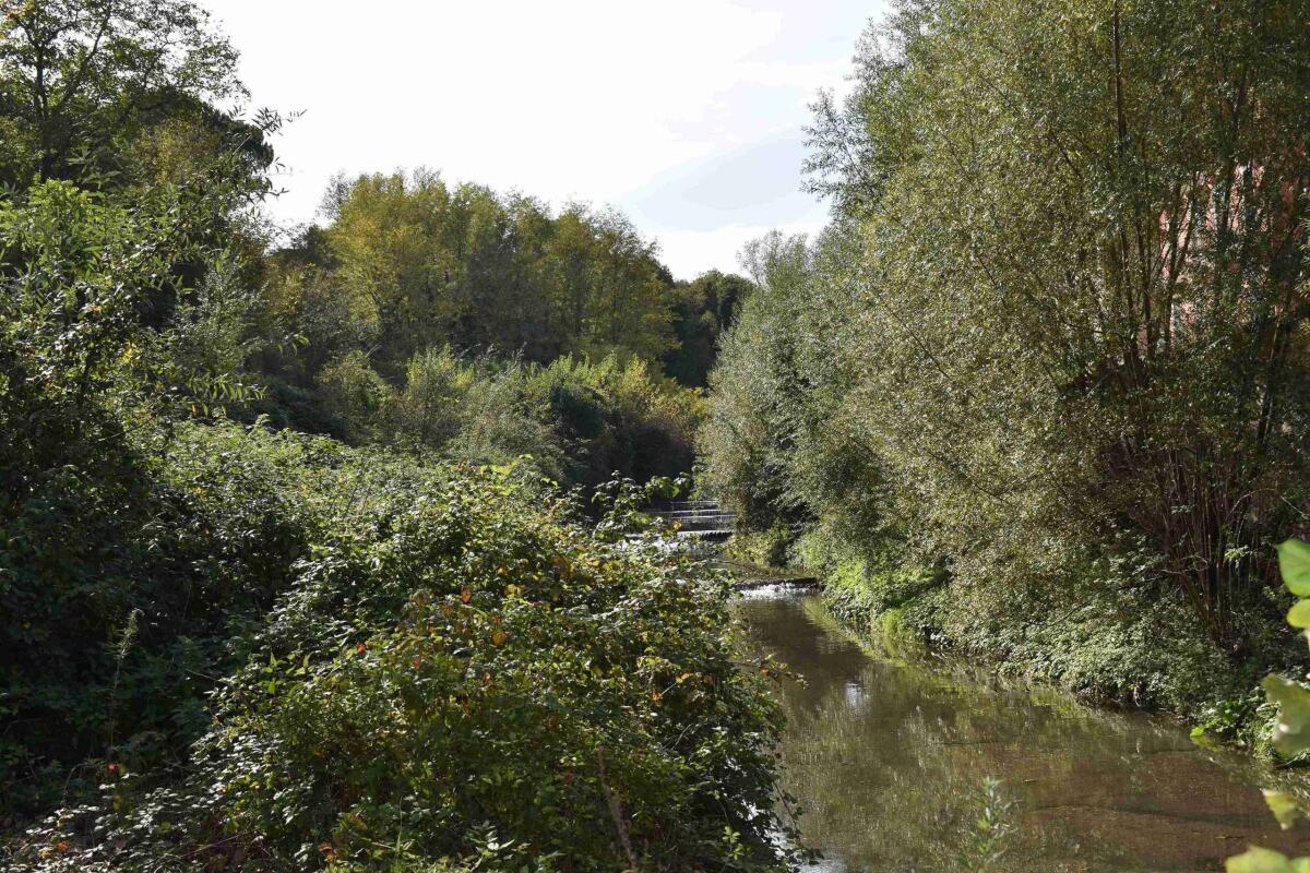 Urban Center Av Inter/Azioni per la transizione ecologica - 