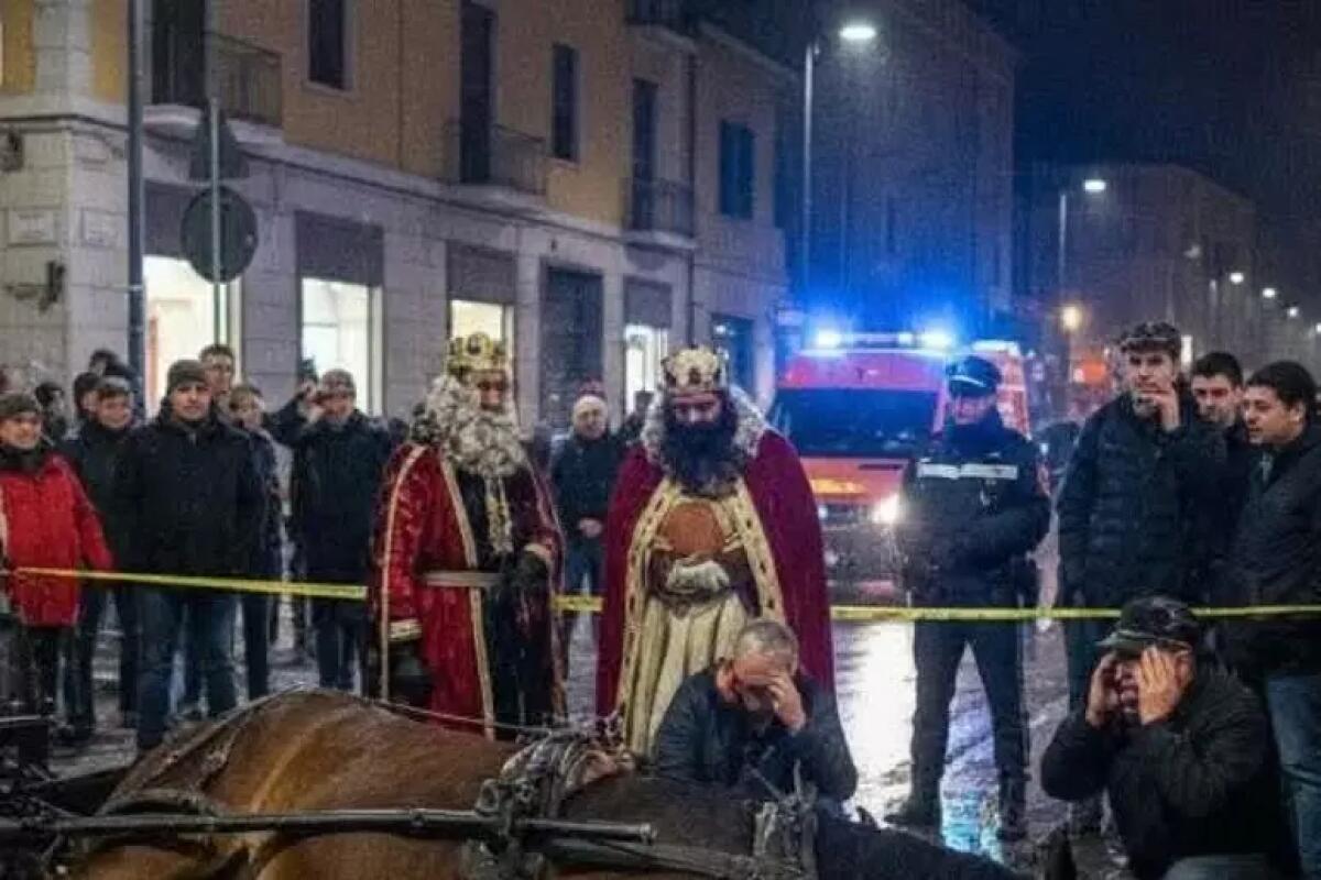 Cavallo muore durante cavalcata Re Magi, animalisti all'attacco - 