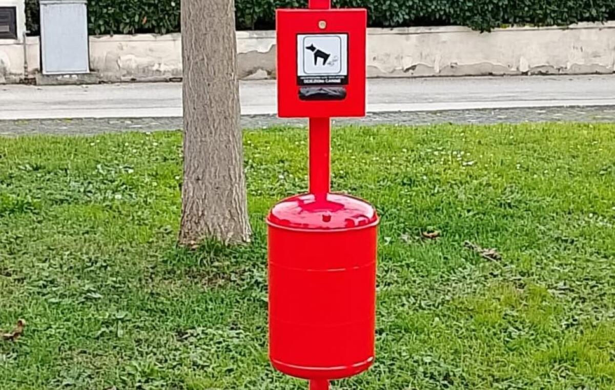 Rotondi. Decoro Urbano e Rispetto dell'Ambiente - 