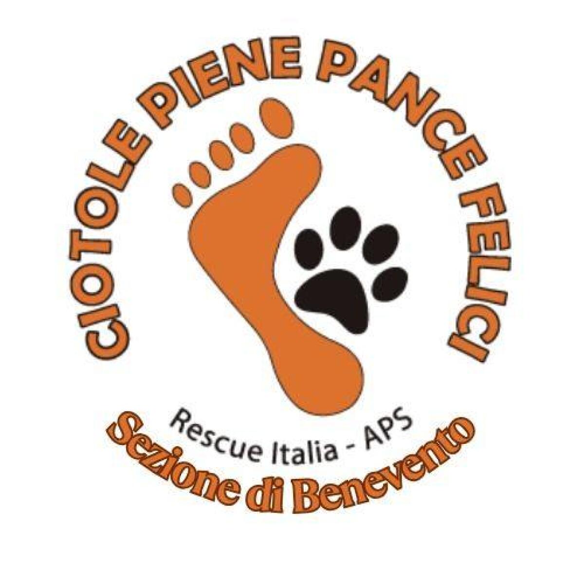 Associazione “Ciotole Piene, Pance Felici Rescue Italia APS – sezione di Benevento”, denuncia i disservizi del Servizio Veterinario - 