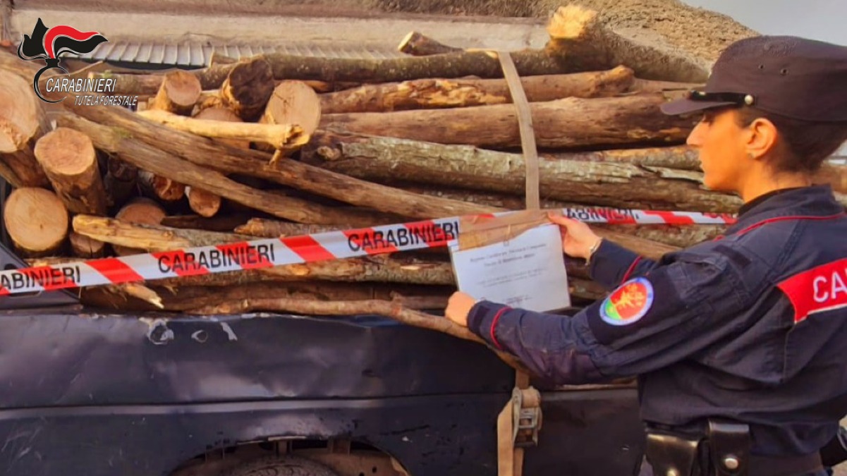 Taglio abusivo di legna, denunciato un 55enne - 
