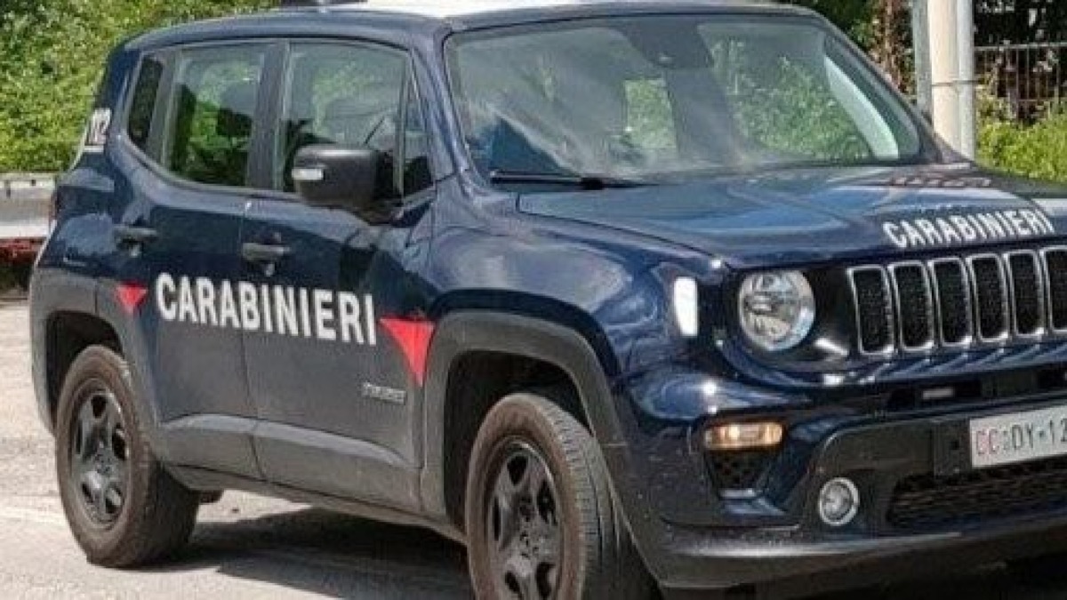 Operaio ucciso da un albero - 