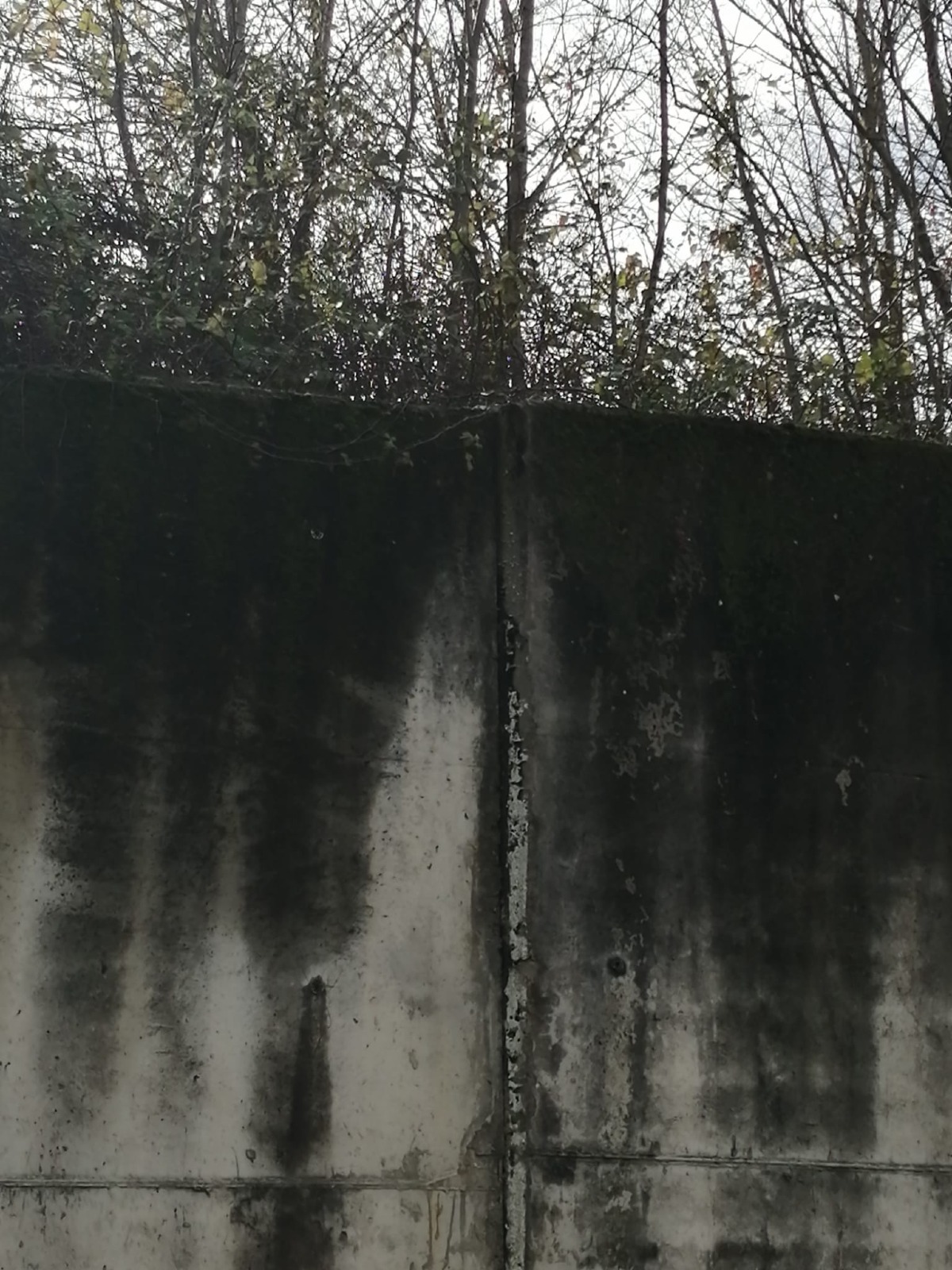 Strada Asi, muro pericolante: serve un controllo urgente  - 