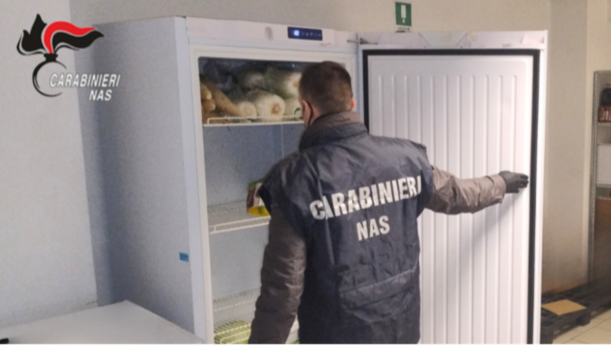 Operazione dei NAS tra Salerno, Avellino e Benevento - 