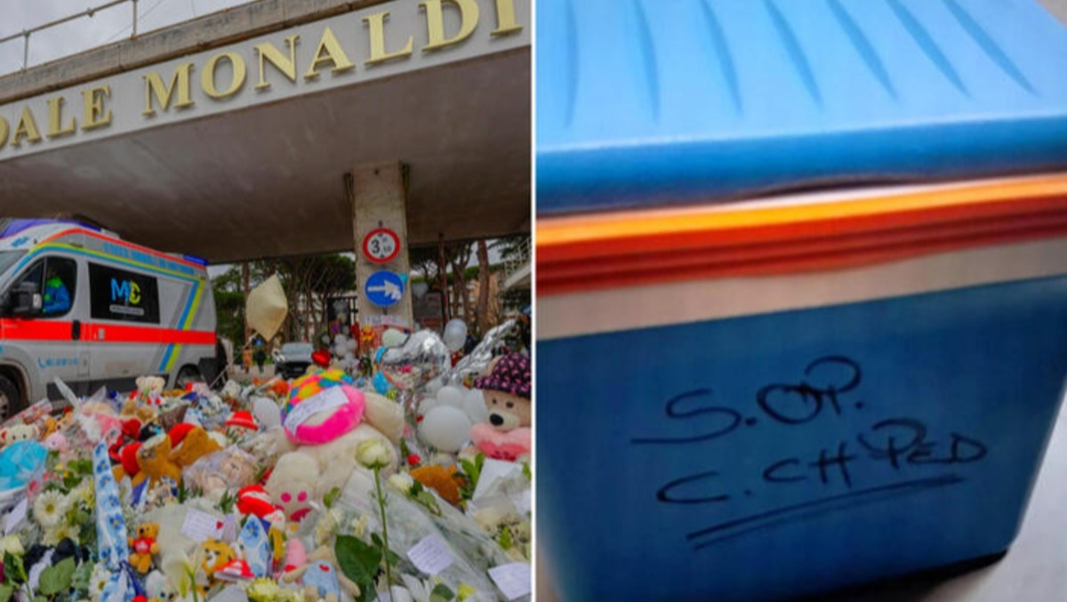 Cuore di Ghiaccio: L'Orrore che ha ucciso Domenico. - 