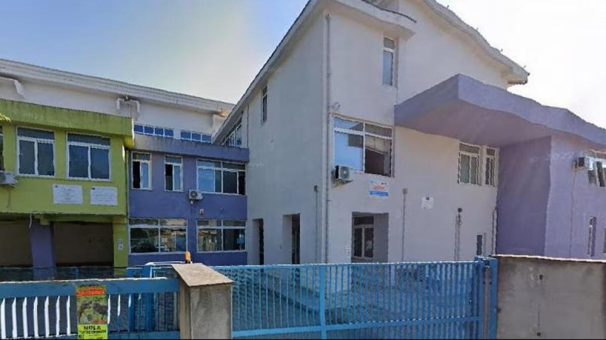 Topo morto trovato in una pentola della refezione scolastica - 