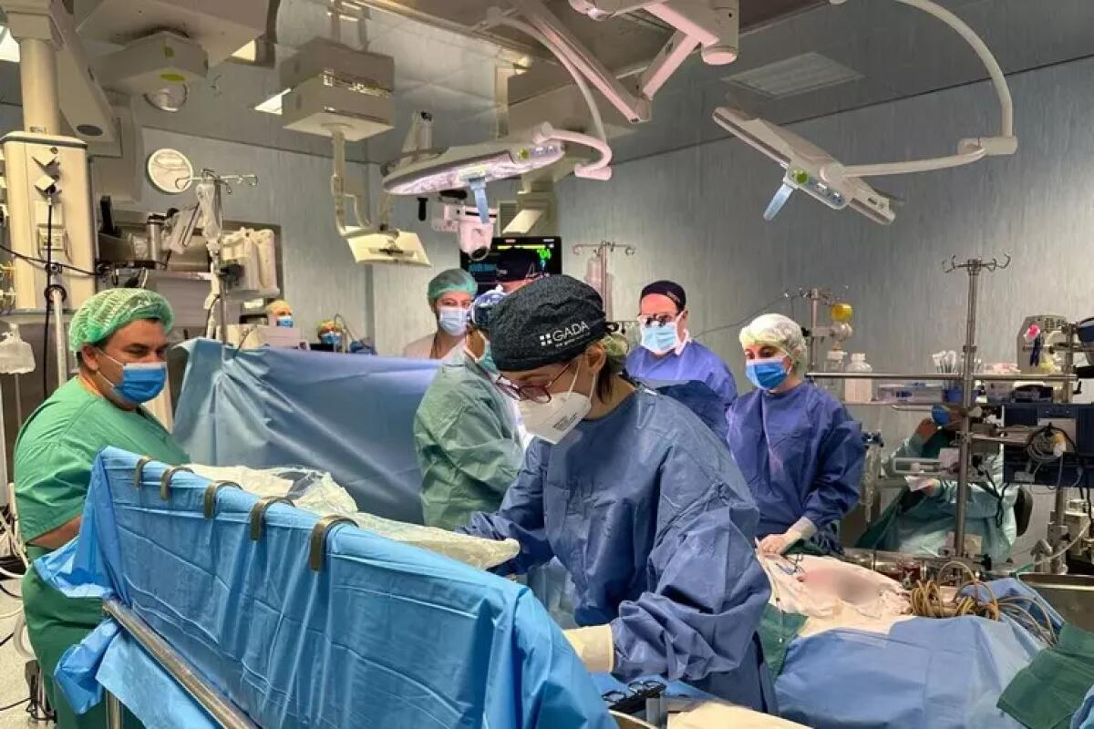 Bimbo trapiantato, ore di attesa per il nuovo parere medico - 