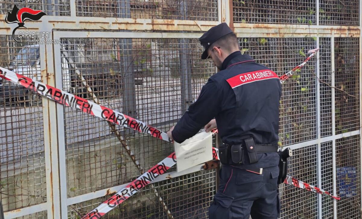 Carabinieri denunciano liquidatore società manutenzione rete fognaria industriale - 