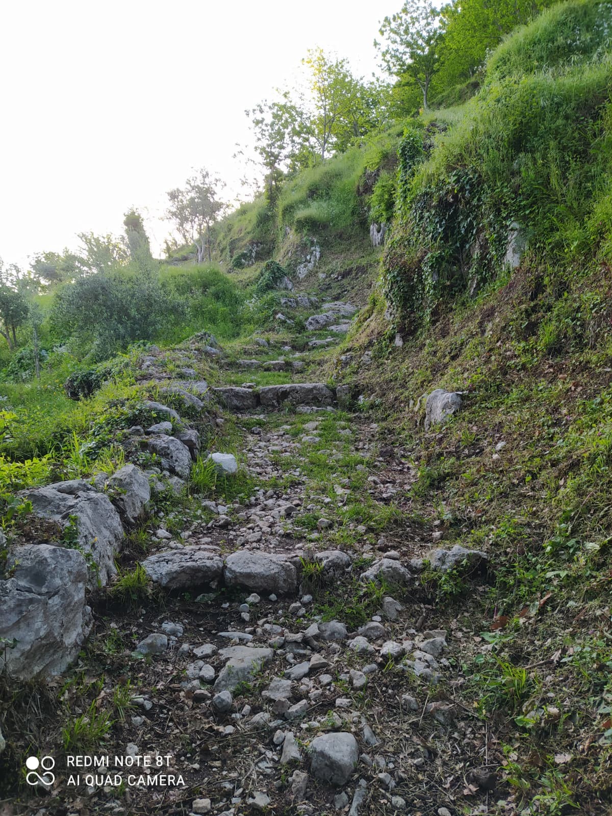 Cervinara: Presentazione del Signore, Profezia di dolore a Maria e la tanto attesa “VIA MATRIS”.