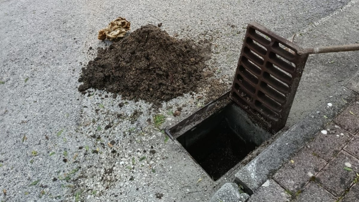 Manutenzione a Rotondi: il nuovo piano dell'Assessore Maietta - 