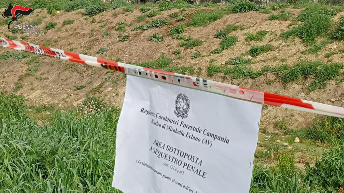 Mirabella Eclano: sequestro per sbancamento abusivo di area - 