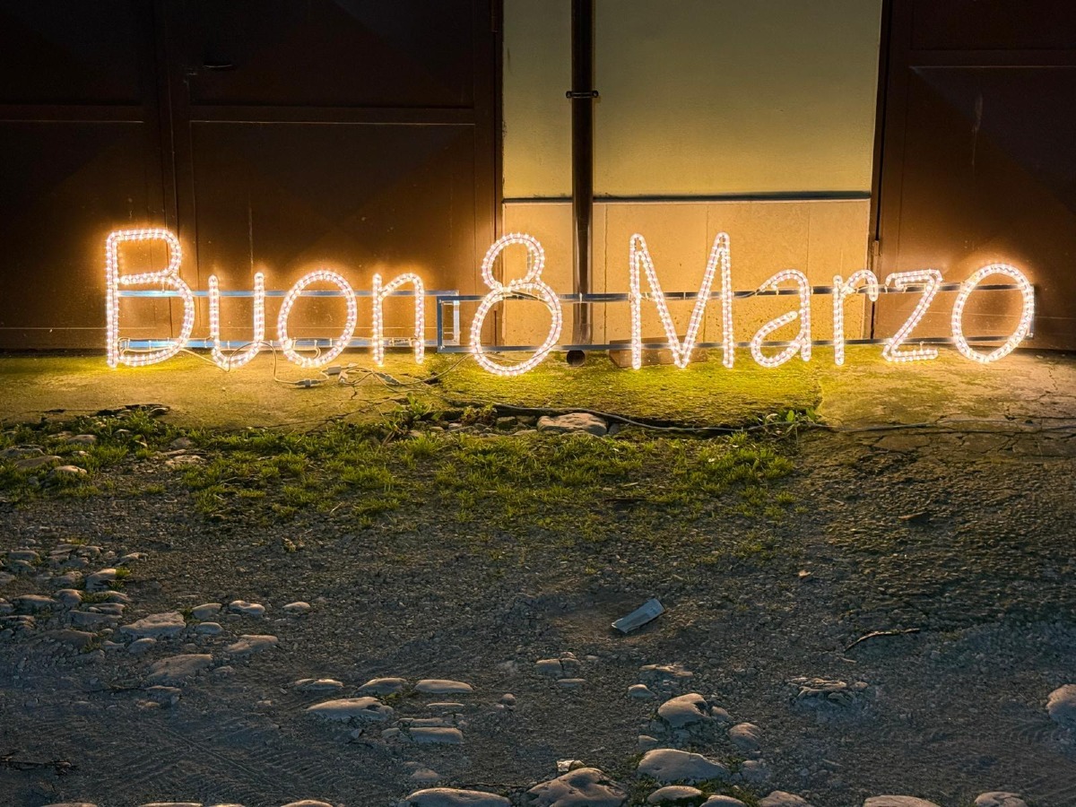 Rotondi in giallo per l’8 marzo:mimose di luce e riflessione - 