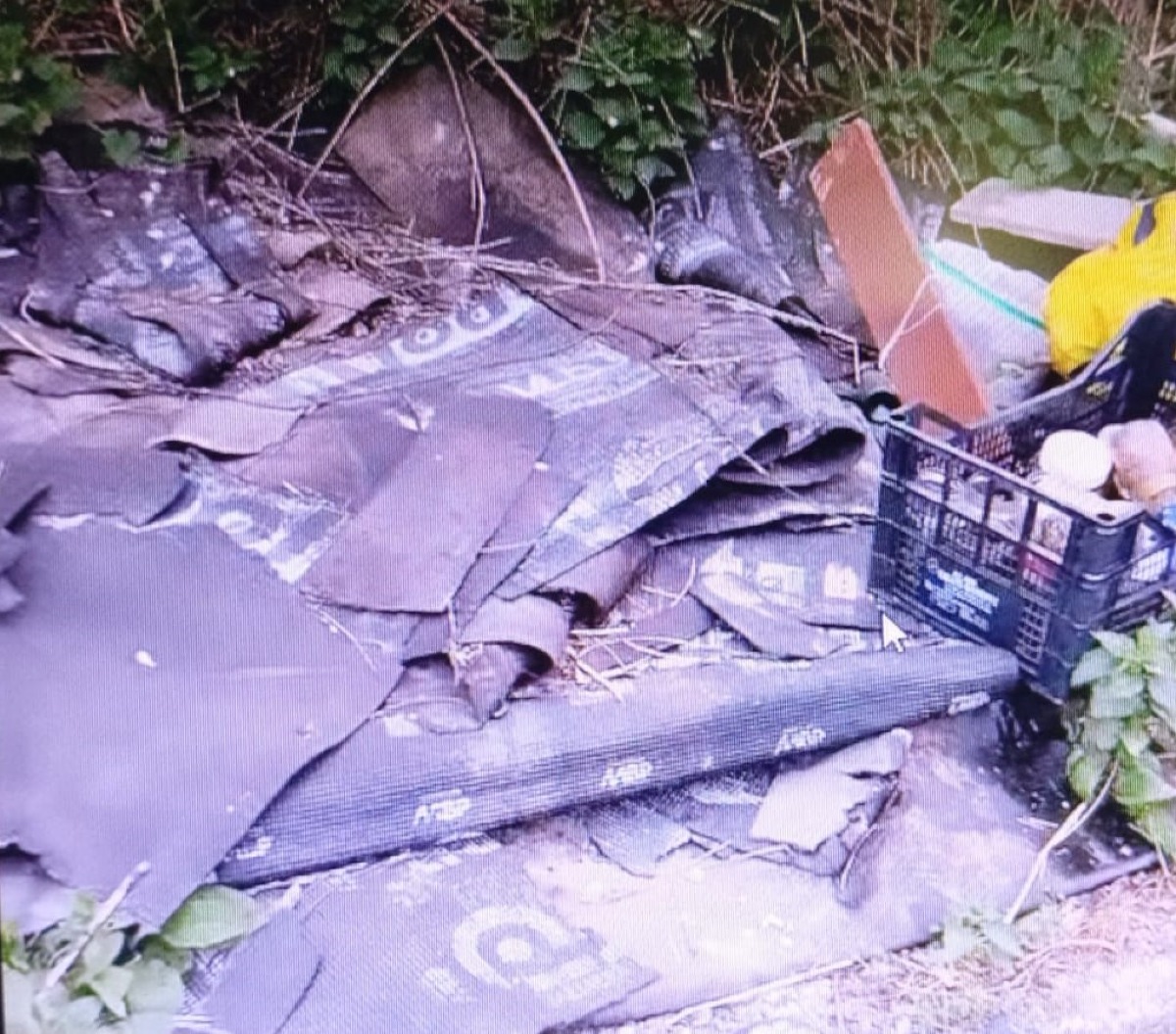 Cervinara: l’inciviltà uccide la bellezza della periferia - 