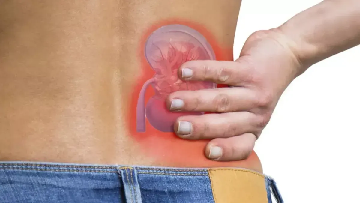 Giornata Mondiale del Rene:screening e prevenzione in Italia - 