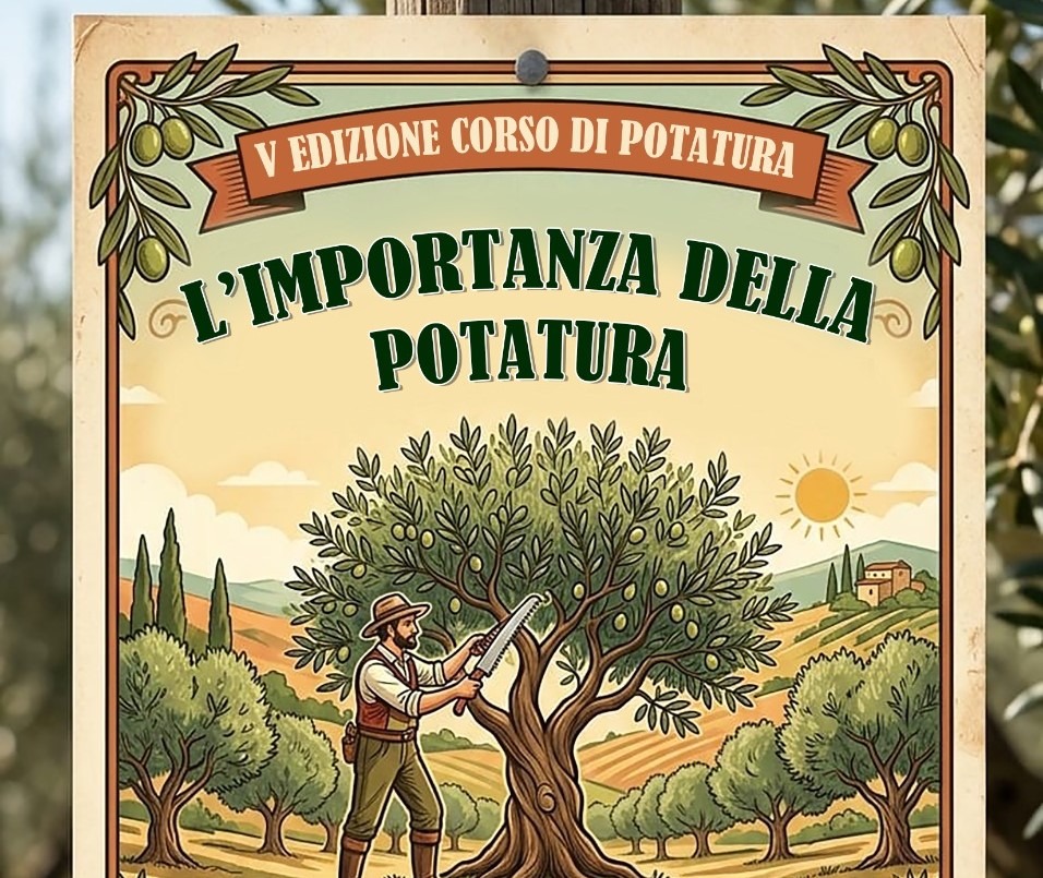 Vitulano: quinta edizione del corso di potatura dell’ulivo - 