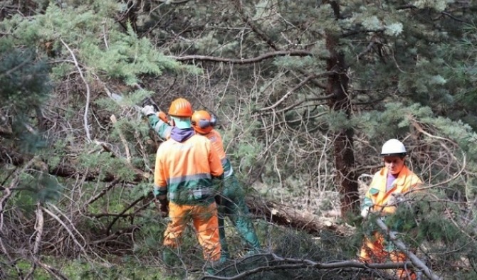 Forestali Titerno: 7 mesi senza paga, è emergenza sociale - 