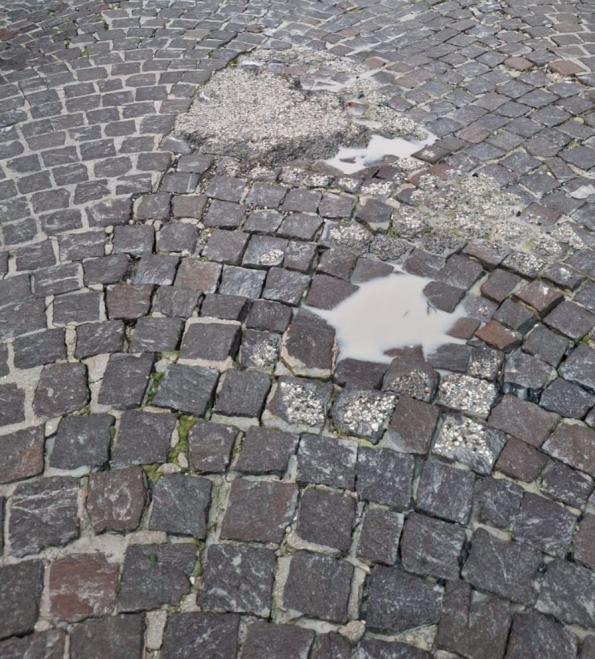 Cervinara: se il rancore sociale uccide il senso di comunità - 