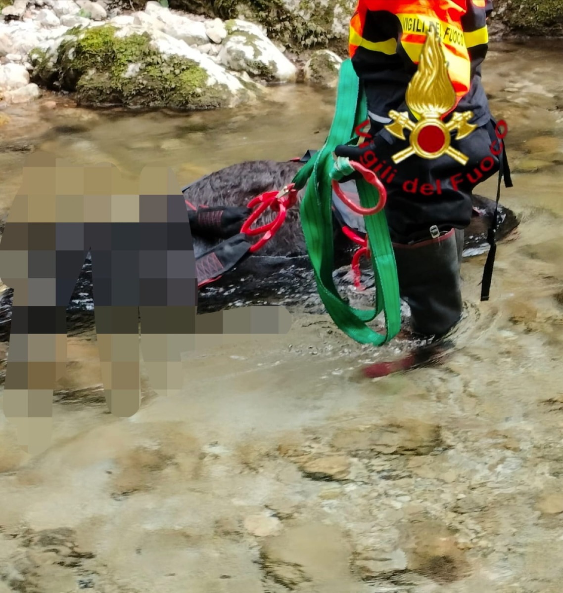 Recuperata dai Vigili del Fuoco la carcassa di una mucca - 