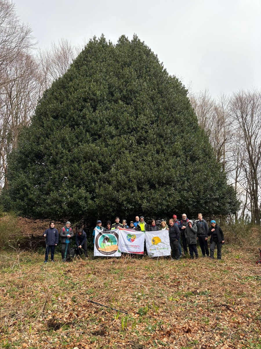 Oltre la Vetta: Il Partenio si Svela nel Trekking a "Ò Cirifuoglio" - 