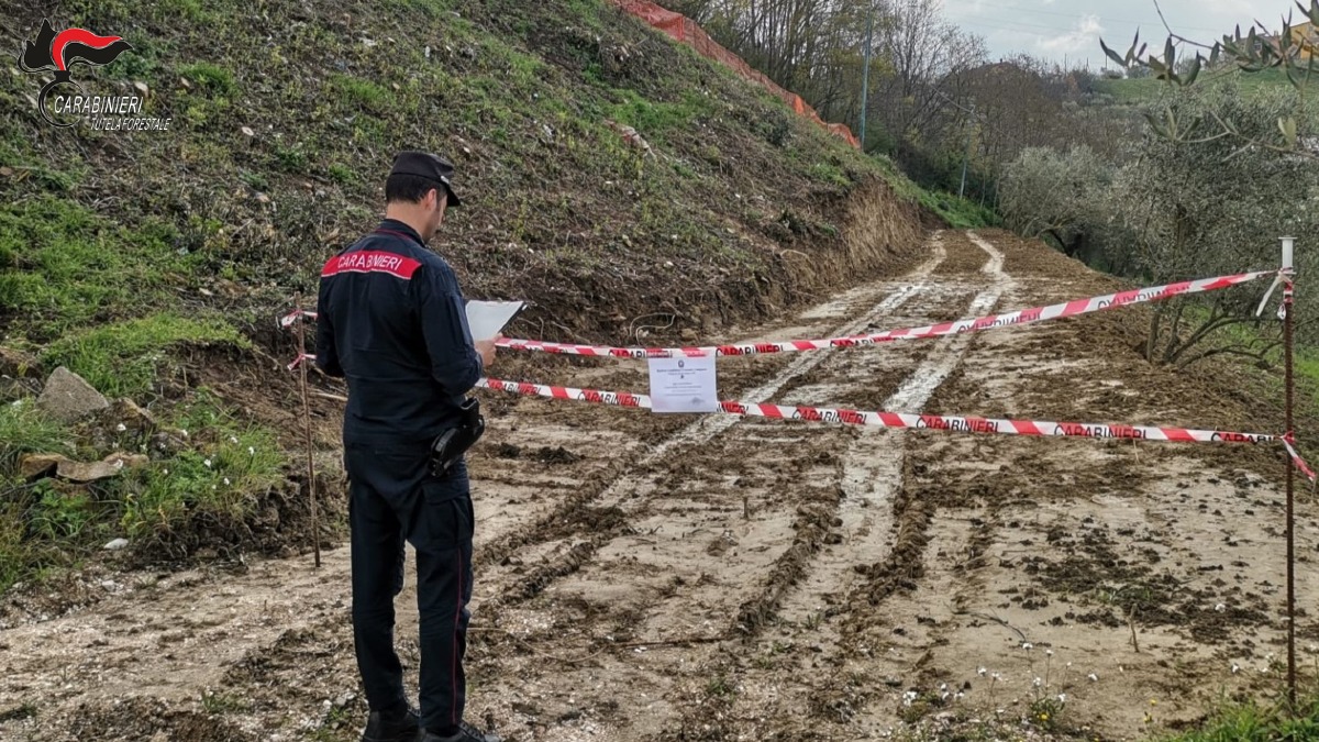 Ariano Irpino: Strada abusiva in area vincolata, tre denunce dei Carabinieri Forestali - 