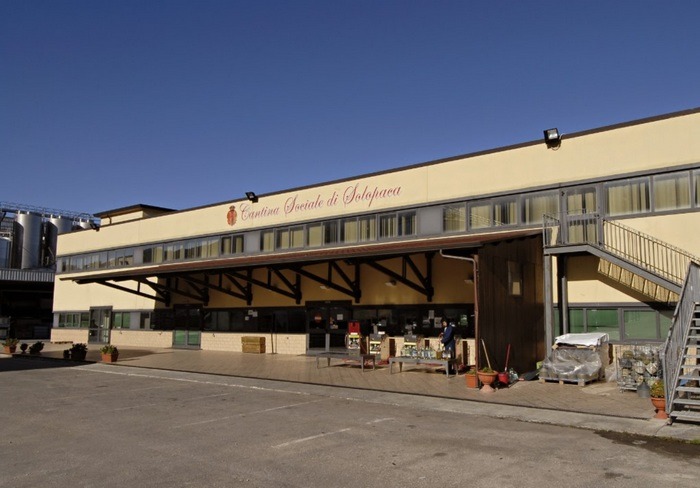 Furto alla Cantina Sociale di Solopaca: il Sannio si stringe attorno a un simbolo del territorio - 