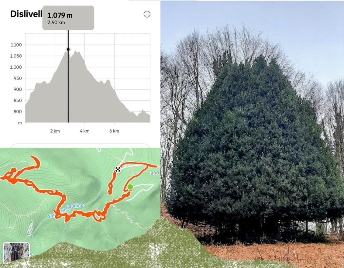 Trekking Cambiamenti