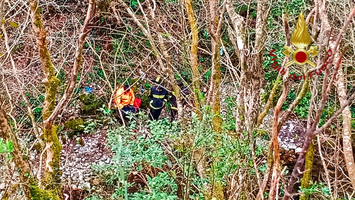 Montella recuperata carcassa di una mucca