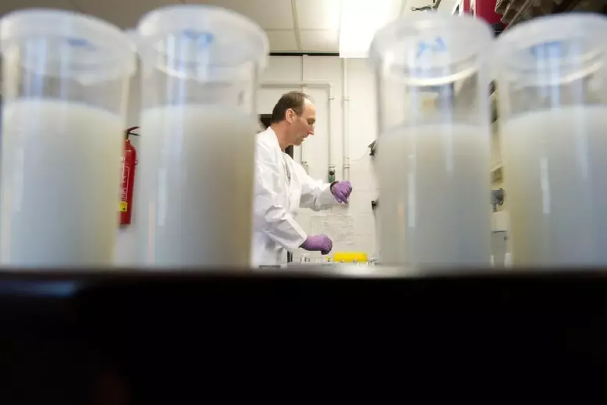 Maddaloni piange Sofia: a 15 anni muore dopo la cena in ristorante. Fatale l'allergia al latte. - 