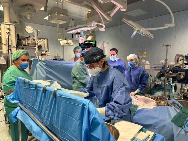 Sanità, rivolta dei genitori al Monaldi: "Cure interrotte, ci sentiamo abbandonati" - 