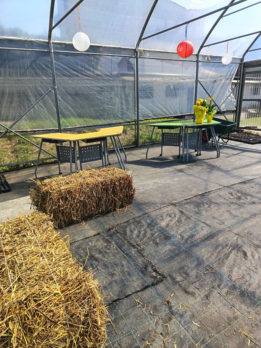 Inaugurato IRFOM 250: a Tufara Valle nasce il nuovo Polo della Cultura - 