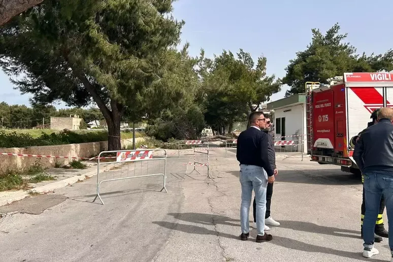 Dodicenne travolta e uccisa dalla caduta di un albero - 