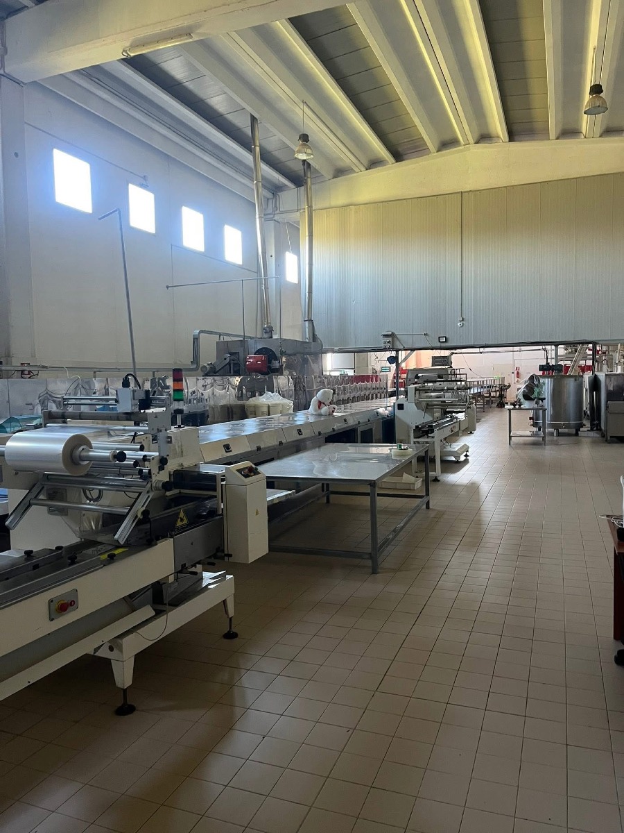 Cervinara, Caso Chocolate Farm: quando l’errore istituzionale mette in ginocchio l’impresa - 